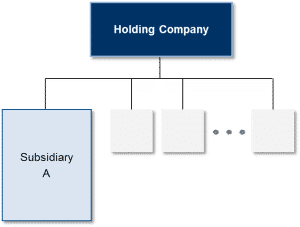 holding-company-structure