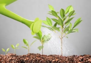 Small businesses – a field of possibilities