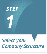 Step 1 - Company structure