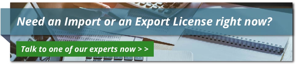 A business professional engaged in the process of applying for an import and export licence, showcasing the ease of managing import and export in South Africa through a reliable service."